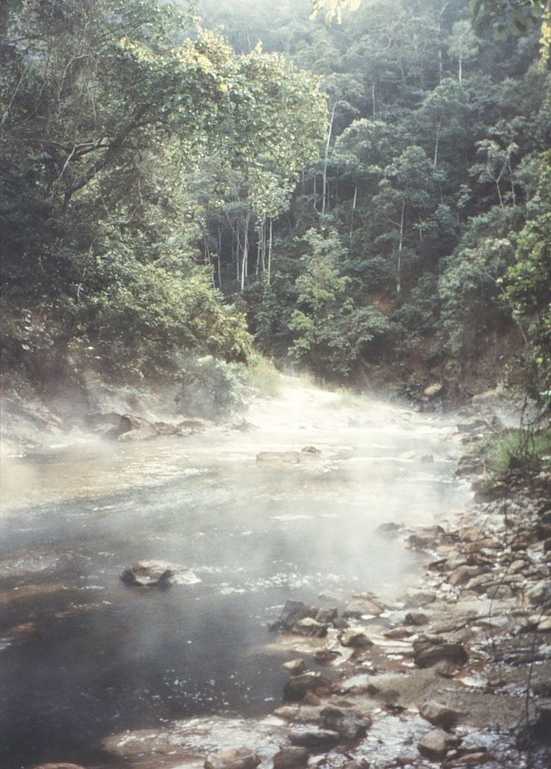 Illustration for article titled Esta mujer sobrevivió 10 días en la selva del Amazonas después de caer en picado desde 3.000 metros de altura